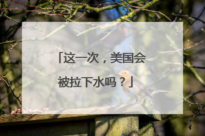 这一次，美国会被拉下水吗？