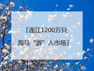 连江1200万只海马“游”入市场
