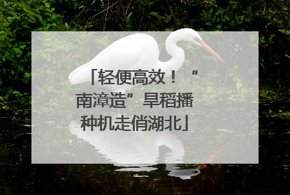 轻便高效！“南漳造”旱稻播种机走俏湖北