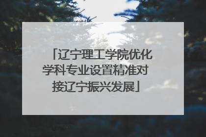辽宁理工学院优化学科专业设置精准对接辽宁振兴发展