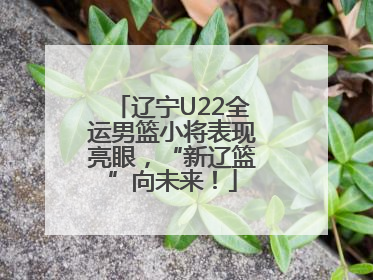 辽宁U22全运男篮小将表现亮眼，“新辽篮”向未来！