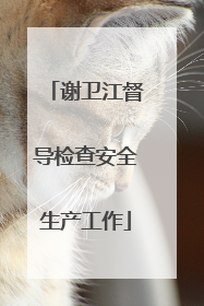 谢卫江督导检查安全生产工作