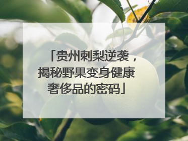 贵州刺梨逆袭，揭秘野果变身健康奢侈品的密码