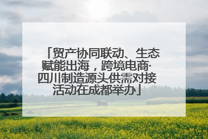贸产协同联动、生态赋能出海，跨境电商·四川制造源头供需对接活动在成都举办