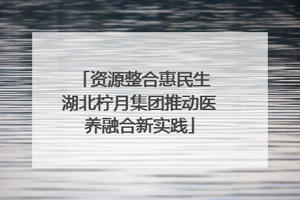资源整合惠民生 湖北柠月集团推动医养融合新实践
