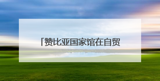 赞比亚国家馆在自贸雨花区块正式揭牌