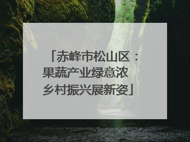 赤峰市松山区：果蔬产业绿意浓 乡村振兴展新姿