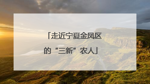 走近宁夏金凤区的“三新”农人
