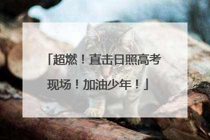 超燃！直击日照高考现场！加油少年！