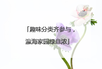 趣味分类齐参与，瀛海家园绿意浓
