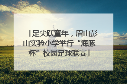 足尖跃童年，眉山彭山实验小学举行“海豚杯”校园足球联赛