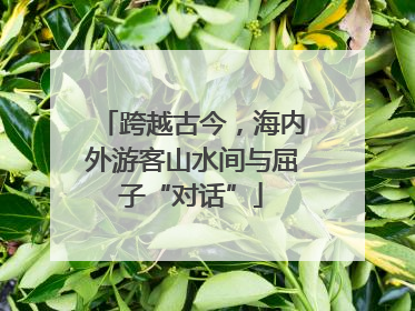 跨越古今，海内外游客山水间与屈子“对话”
