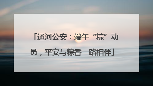 通河公安：端午“粽”动员，平安与粽香一路相伴