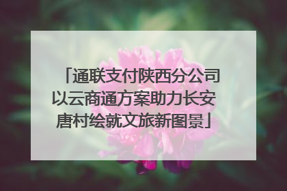 通联支付陕西分公司以云商通方案助力长安唐村绘就文旅新图景