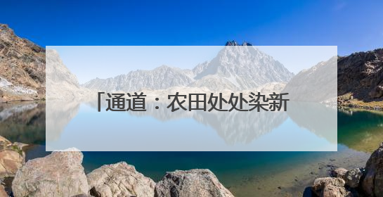 通道：农田处处染新绿 制种水稻移栽忙
