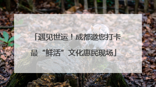 遇见世运！成都邀您打卡最“鲜活”文化惠民现场