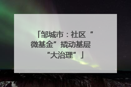 邹城市：社区“微基金”撬动基层“大治理”