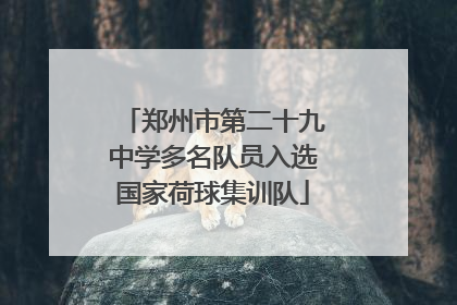 郑州市第二十九中学多名队员入选国家荷球集训队