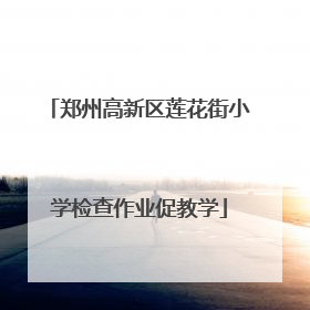 郑州高新区莲花街小学检查作业促教学