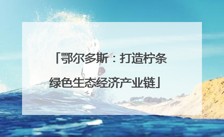 鄂尔多斯：打造柠条绿色生态经济产业链