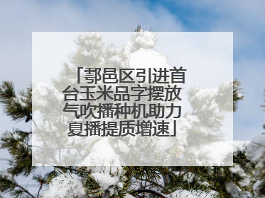 鄠邑区引进首台玉米品字摆放气吹播种机助力夏播提质增速