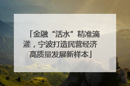 金融“活水”精准滴灌，宁波打造民营经济高质量发展新样本