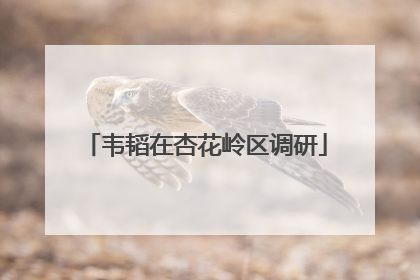 韦韬在杏花岭区调研
