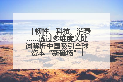 韧性、科技、消费……透过多维度关键词解析中国吸引全球资本“新磁场”