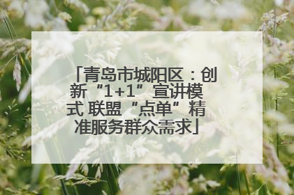 青岛市城阳区：创新“1+1”宣讲模式 联盟“点单”精准服务群众需求