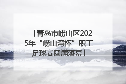 青岛市崂山区2025年“崂山湾杯”职工足球赛圆满落幕