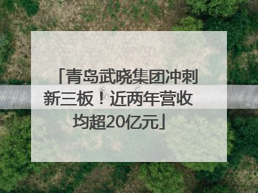 青岛武晓集团冲刺新三板！近两年营收均超20亿元