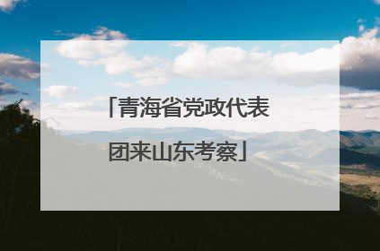 青海省党政代表团来山东考察