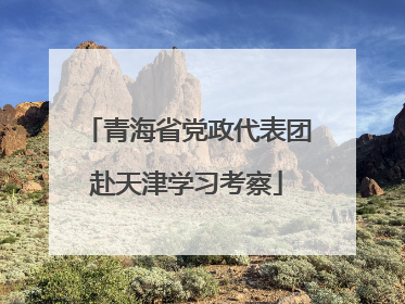 青海省党政代表团赴天津学习考察