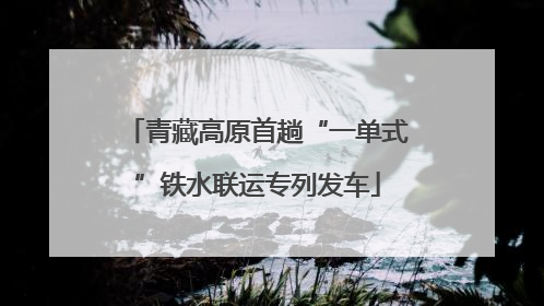 青藏高原首趟“一单式”铁水联运专列发车
