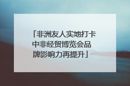 非洲友人实地打卡 中非经贸博览会品牌影响力再提升