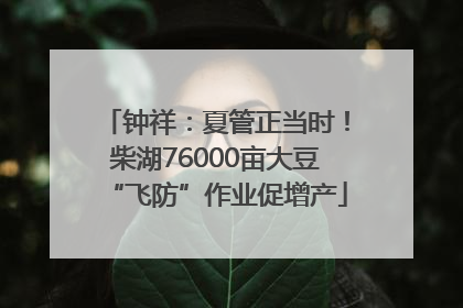钟祥：夏管正当时！柴湖76000亩大豆“飞防”作业促增产