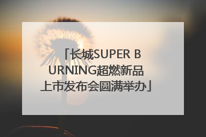 长城SUPER BURNING超燃新品上市发布会圆满举办