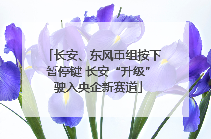 长安、东风重组按下暂停键 长安“升级”驶入央企新赛道