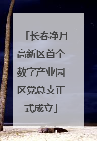 长春净月高新区首个数字产业园区党总支正式成立