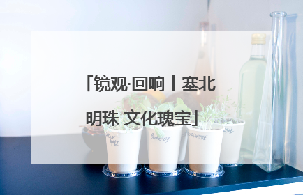 镜观·回响丨塞北明珠 文化瑰宝