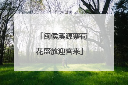 闽侯溪源寨荷花盛放迎客来