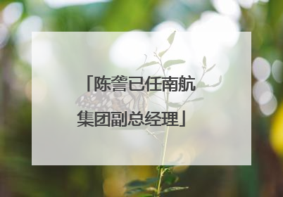 陈詟已任南航集团副总经理