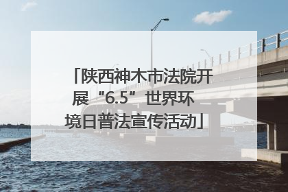 陕西神木市法院开展“6.5”世界环境日普法宣传活动