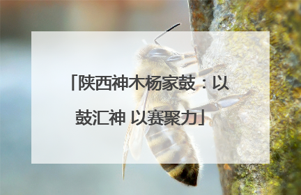 陕西神木杨家鼓：以鼓汇神 以赛聚力