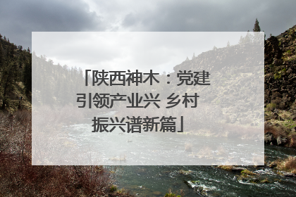 陕西神木：党建引领产业兴 乡村振兴谱新篇