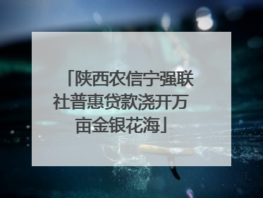 陕西农信宁强联社普惠贷款浇开万亩金银花海