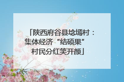 陕西府谷县埝墕村：集体经济“结硕果” 村民分红笑开颜
