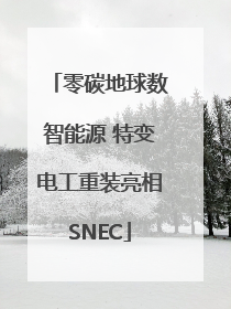 零碳地球数智能源 特变电工重装亮相SNEC
