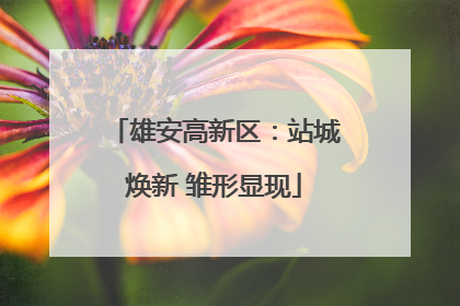 雄安高新区：站城焕新 雏形显现