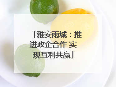 雅安雨城：推进政企合作 实现互利共赢